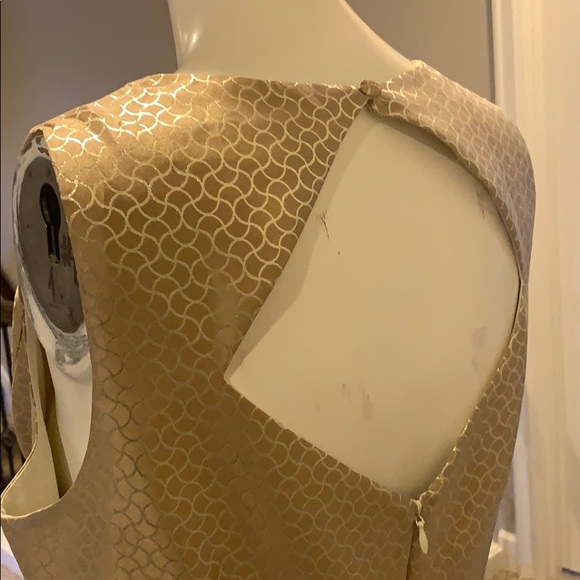 Stunning Gold Eliza J Dress - Picture 5 of 6
